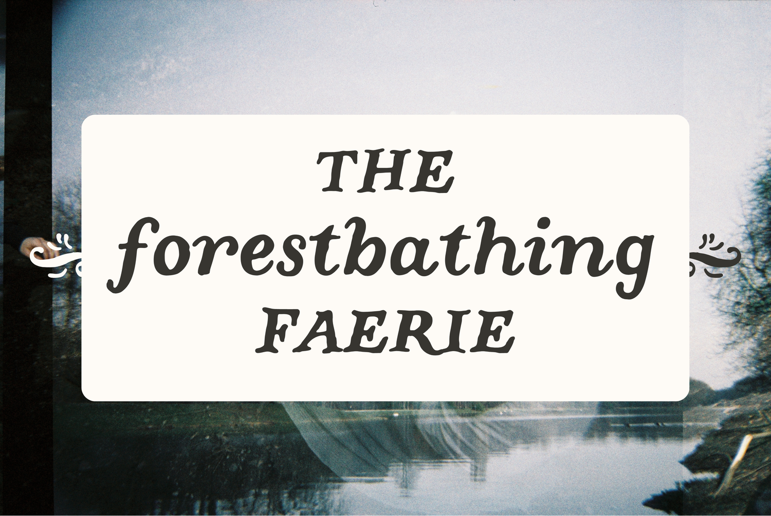 The forestbathing faerie